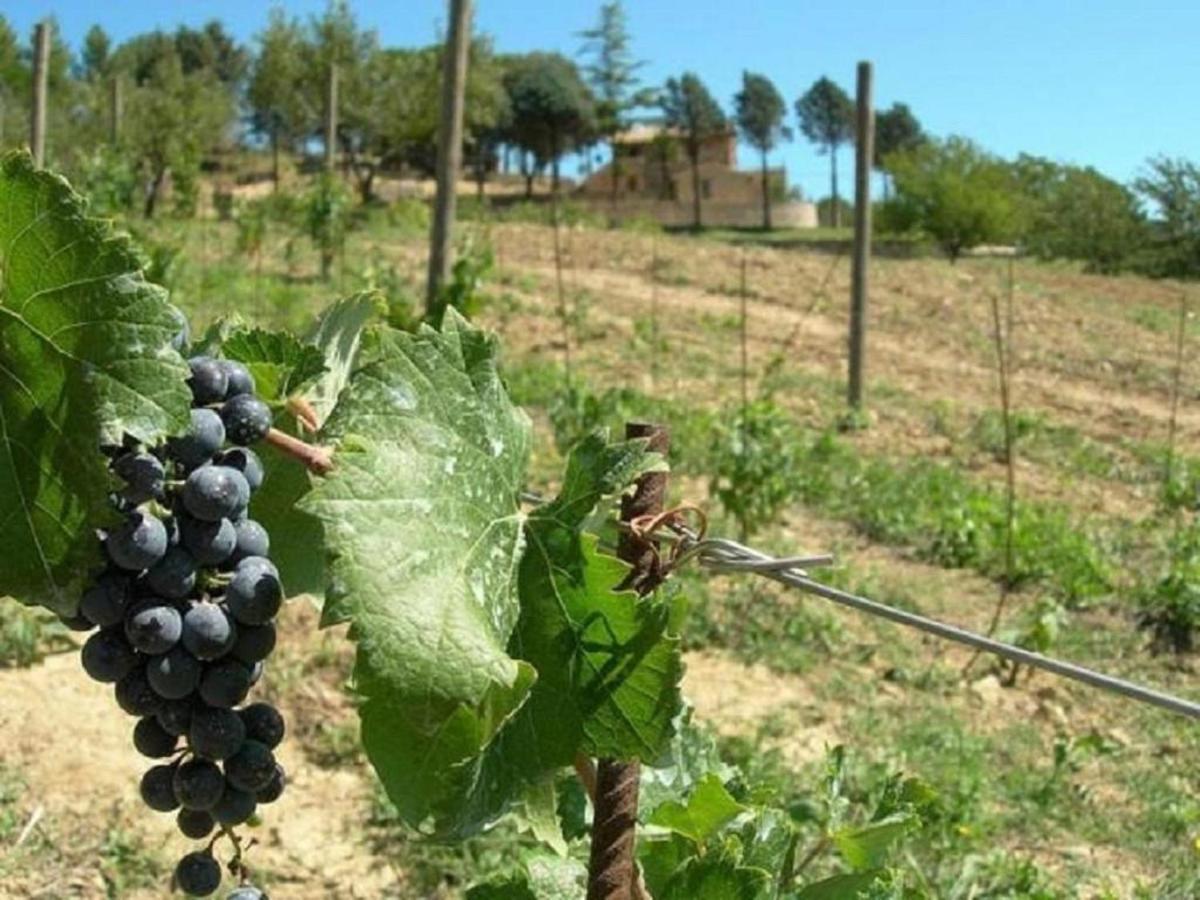 Agriturismo Colle Pu Pieve San Nicolo Eksteriør billede