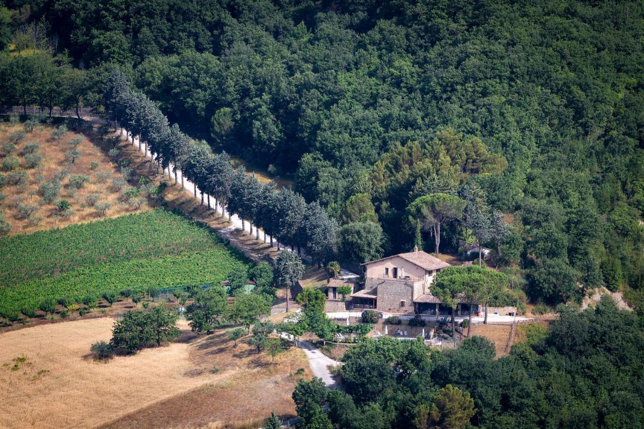 Agriturismo Colle Pu Pieve San Nicolo Eksteriør billede