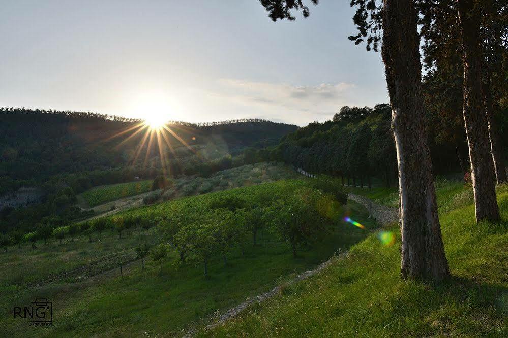 Agriturismo Colle Pu Pieve San Nicolo Eksteriør billede