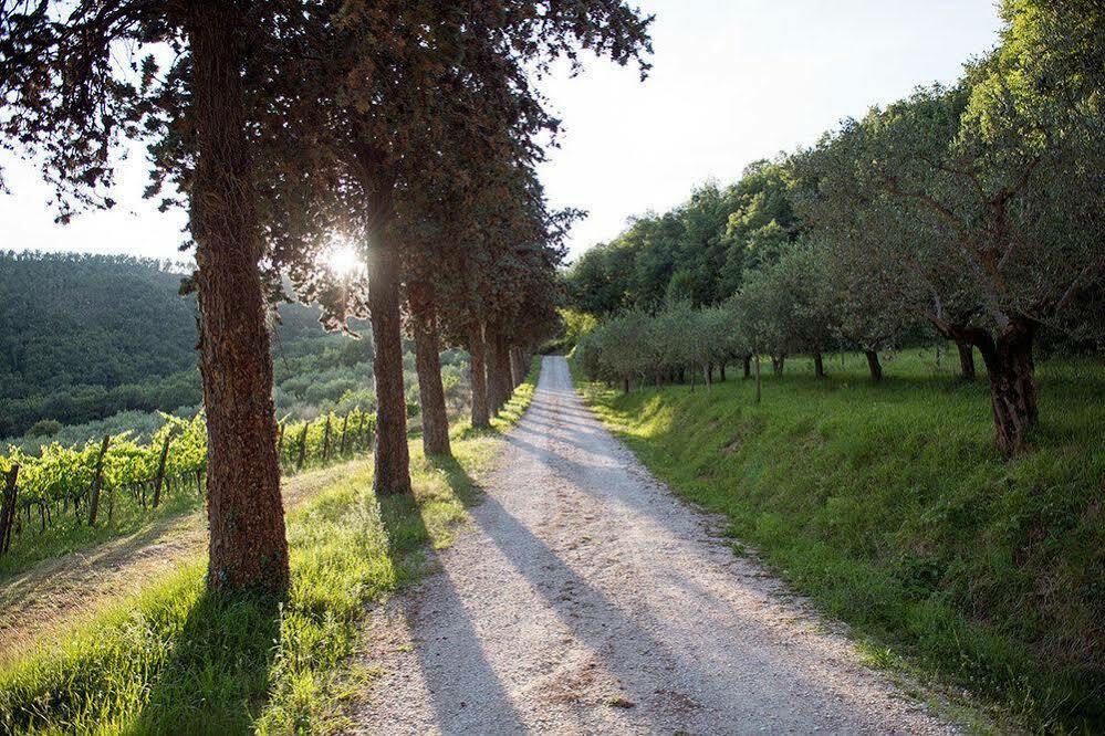 Agriturismo Colle Pu Pieve San Nicolo Eksteriør billede